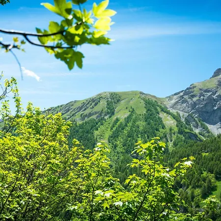 Baita La Ciaburna Skiing Nearby - Happy Rentals Bardonecchia Exterior photo