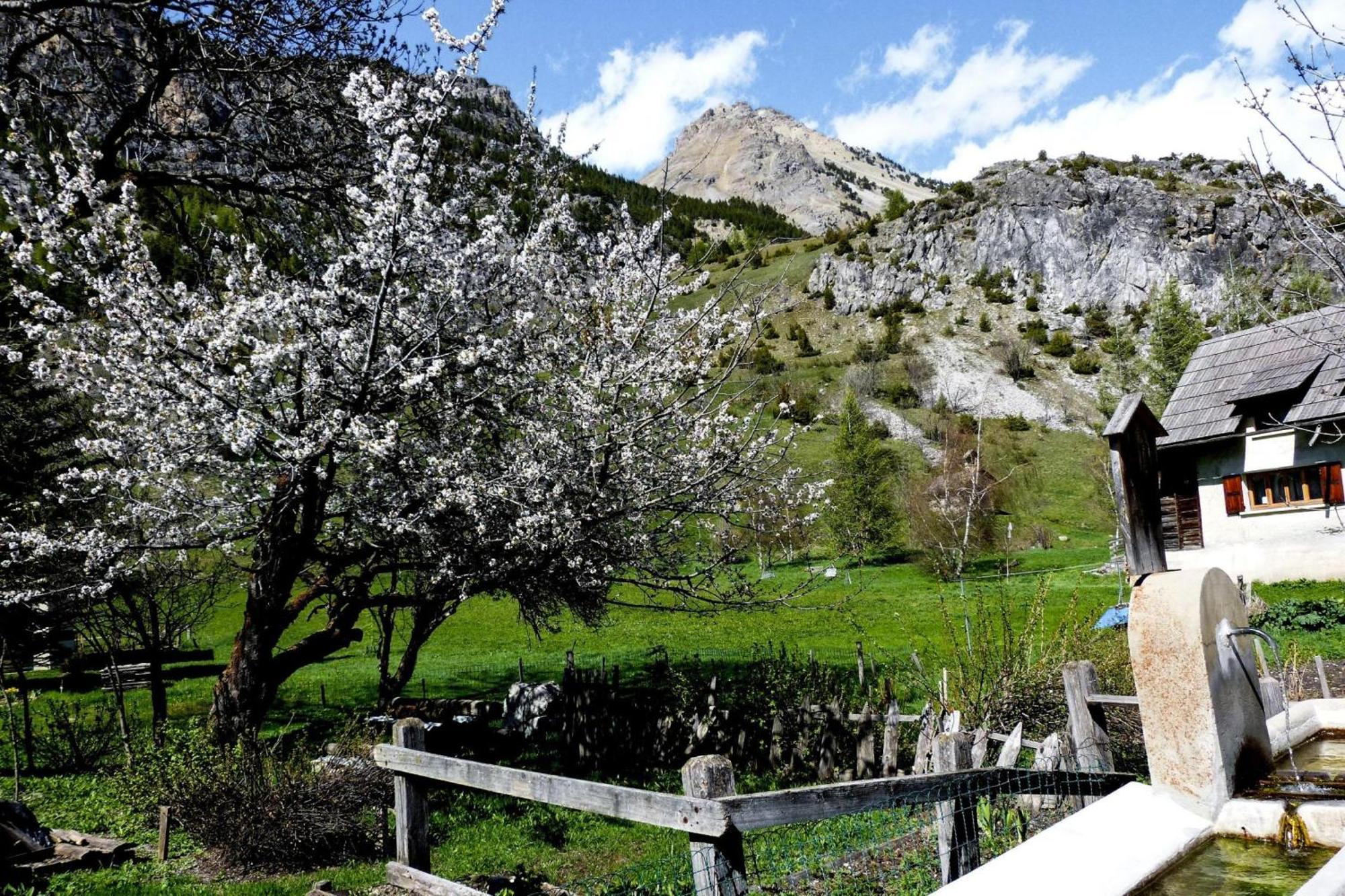 Apartment La Ciaburna Skiing Nearby - Happy Bardonecchia